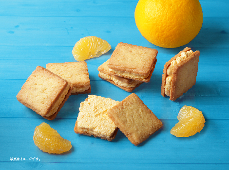 山口潮風サンド